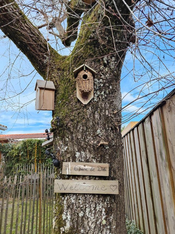 La Cabane De Didi Andernos-les-Bains ภายนอก รูปภาพ